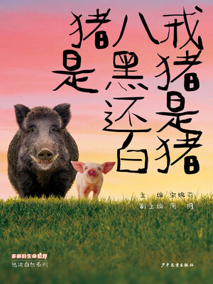 cover image of 猪八戒是黑猪还是白猪